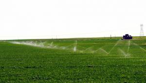 DEDAŞ Desteklemelere Bloke Koyacak