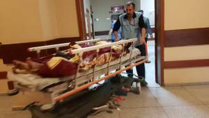 Güvercini Yakalamak İsterken Akıma Kapıldı