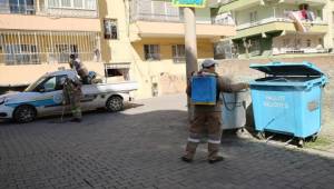 Haşere ve Sinekler ile Larva Mücadelesi-Videolu Haber