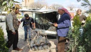 Urfalılar Fidanlıklara Akın Etti
