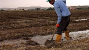 Dicle Elektrik’ten Tasarruflu kullanın çağrısı