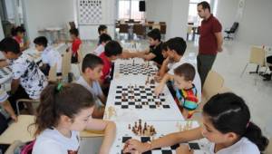 Gençler Haliliye Belediyesi ile satranç öğreniyor