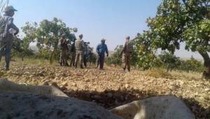 Hırsızlar fıstık bahçesine dadandı