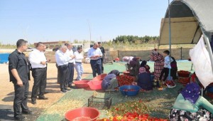 Beyazgül İsot Yapım Sürecini Anlattı