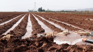 DEDAŞ Borçlu Birliklere Elektrik Vermeyecek