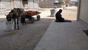 Urfa Aligör Hikayesi