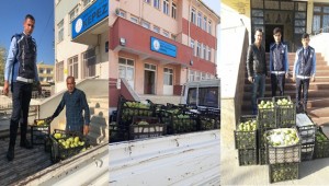 Ceylanpınar'da Sağlıklı Beslenmeye Dikkat Çekildi