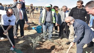 Harran Üniversitesi Fidan Dikimi Etkinliğine Katıldı