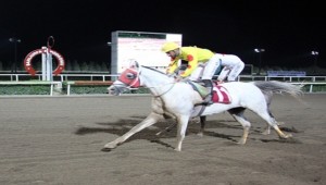 Hilvan Koşusunu Catch Money Kazandı