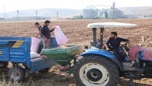 Şanlıurfa'da 2019 Yılı Hububat Ekim Mesaisi Başladı