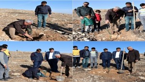 ŞUTSO Hatıra Ormanı Oluşturuldu