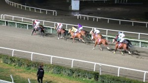 Akçakale Belediye Koşusunu İsa Akyavuz Kazandı