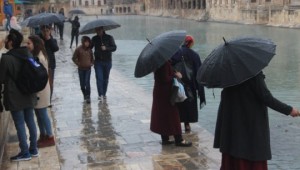 Balıkları şemsiye altında beslediler