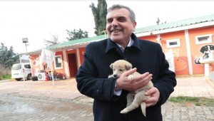 Beyazgül : Hayvan Satın Almayın Sahiplenin