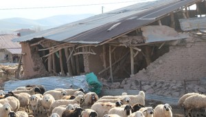 Erzurum ve Şanlıurfa'dan Deprem Bölgesine Hayvan Yardımı