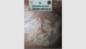 Suruç'ta 2000 Yıllık Mozaik Bulundu 