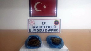 Akçakale'de 21 Kilogram Uyuşturucu Madde Ele Geçirdi