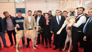 Beyazgül Gureh Köpeği İle İlgili Bilgi Aldı