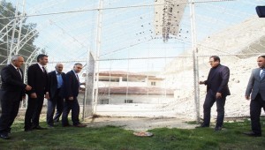 Birecik'te Kelaynaklar Üremeleri İçin Doğaya Salındı