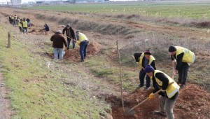 Büyükşehir'in Hedefi 100 Fidanın Toprakla Buluşması