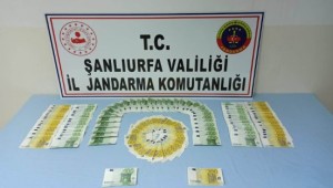 Döviz ve tarihi eser kaçakçılığı operasyonu