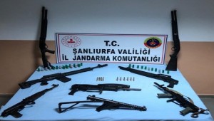 Eğitimli Jandarma Köpeği Cephaneliği buldu
