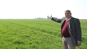 Şanlıurfa ve Mardin'de 1.5 milyon dönüm arazi sulanacak