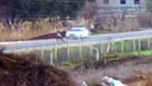 Harran'da Yürek Burkan Ölüm