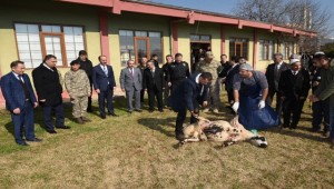 Milletin Huzur İçin Şanlıurfa'da Kurban Kesildi