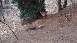 Önce Uçurumdan Attı Ölmeyince Başını Taşla Ezdi