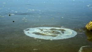 Siverek'te Soğuk Hava Nedeniyle Göller Buz Tuttu