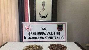 Durdurulan araçta namlulu silah mermileri ele geçirildi