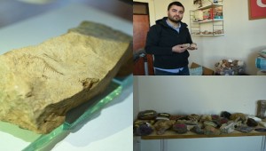 İnekleri Güderken 10 Bin Yıllık Balık Fosilleri Bulundu