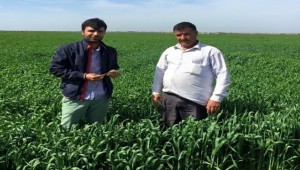 Özyavuz Çiftçilere Ücretsiz Danışmanlık Yapacak