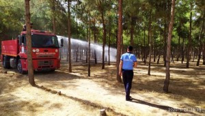 Akçakale’de cuma namazı öncesi temizlik çalışması 