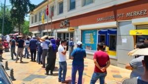 Şanlıurfalılar çözümü kartonda buldu 