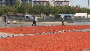 Çiğ köftenin olmazsa olmazı isotun 