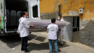 Yeşeren çınarlar YADES ile hayat bulmaya devam ediyor