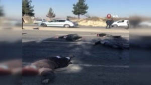 Katliam gibi kavga: 5 ölü, 3 yaralı