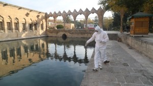 Şanlıurfa’da boş kalan tarihi mekanlar ilaçlandı 