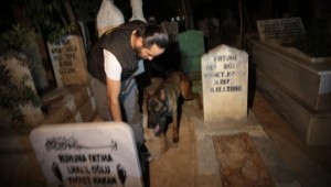 Şanlıurfa’da 483 polisle eş zamanlı uygulama 