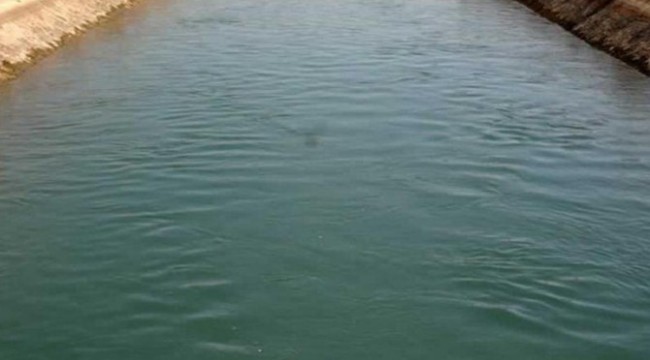 Viranşehir sulama kanalında 1 şahıs boğuldu.