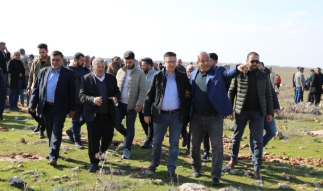 Albayrak, mera ve hayvancılık için sahada