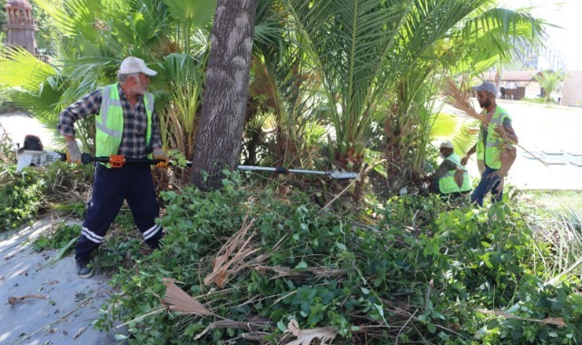Çocuk oyun dünyası faaliyete giriyor (video)