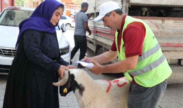 Eyyübiye'den Yetim Ailelere Canlı Kurbanlık Sürprizi!