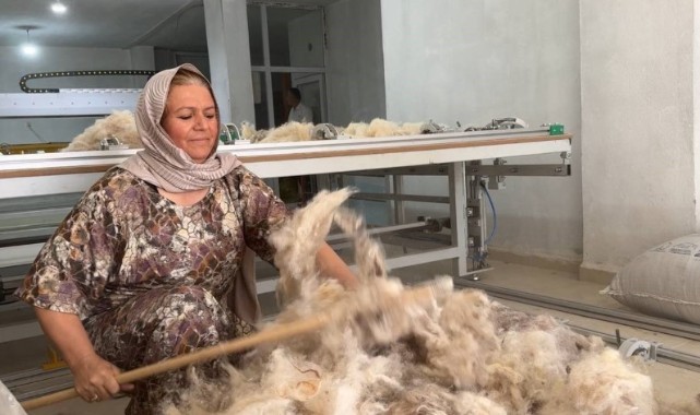 Bir Kadın, Bir Makine, Bir Hayal: Suruç’ta Yün Devrimi