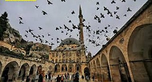 Evdeyim Halil ( Evdeyem Halle )